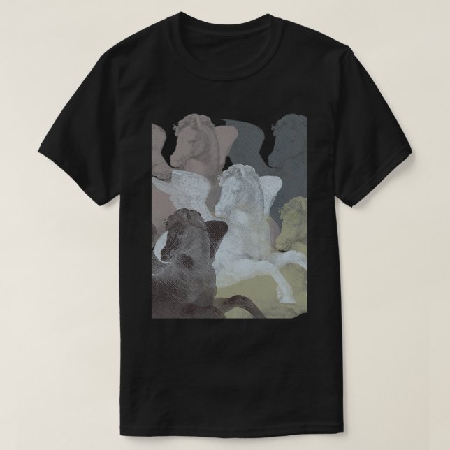 Camiseta Bloque de Pegasi (Diseño del anverso)