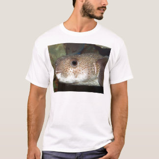 Camiseta Blowfish