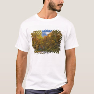 Camiseta Blue Ridge Parkway curvando a través de colores de