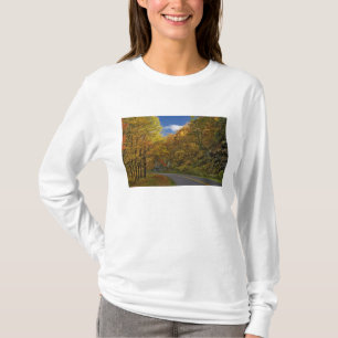 Camiseta Blue Ridge Parkway curvando a través de colores de