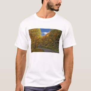 Camiseta Blue Ridge Parkway recorre los colores del otoño