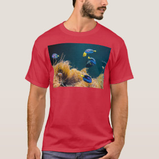 Camiseta Blue Tang Classic TShirt