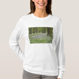 Camiseta Bluebells y robles en primavera, Pequeña Hagley
