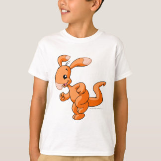 Camiseta Blumaroo Naranja