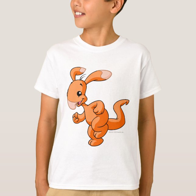 Camiseta Blumaroo Naranja (Anverso)