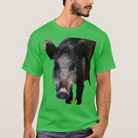 Boar Hacer Arte Del Vector De Contacto Ocular
