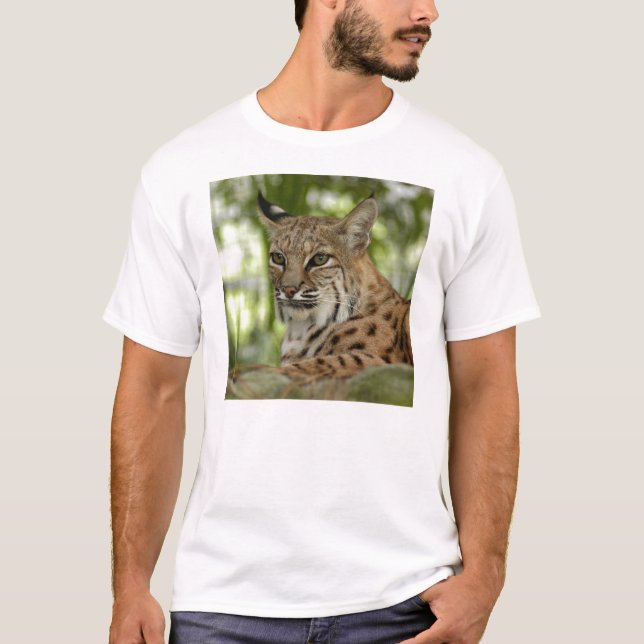 Camiseta BobcatBCR032 (Anverso)