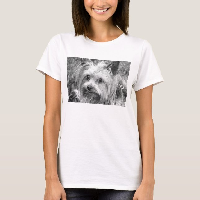 Camiseta Boceto favorito de la raza Yorkshire Terrier Yorki (Anverso)
