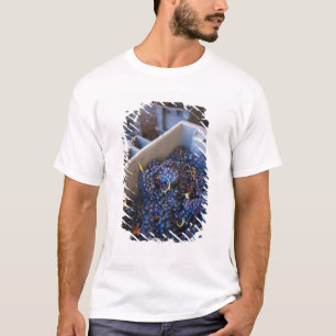 Camiseta Bodega Marques de Riscal bodega, uvas