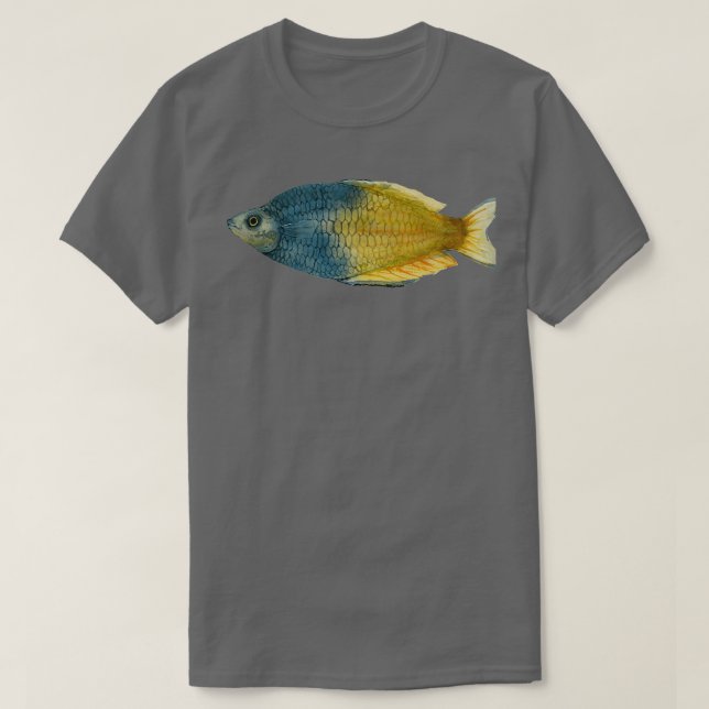 Camiseta Boesemani Rainbowfish (Diseño del anverso)
