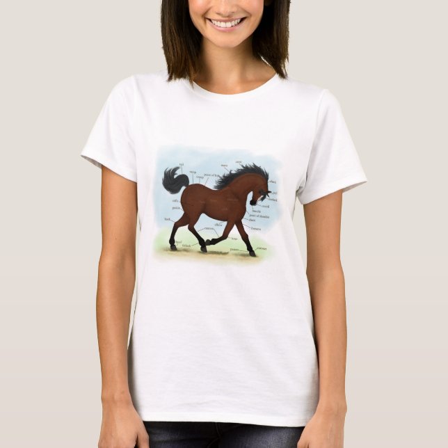 Camiseta Bola de Bahía con gráfico de anatomía de caballos  (Anverso)