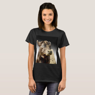 Camiseta Bola Marrón En El Hay,