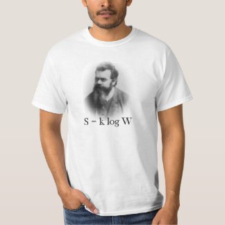 Camiseta Boltzmann