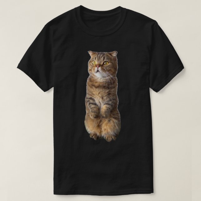 Camiseta Bonita reputación de Lu Lu ( Kittisaurus ) (Diseño del anverso)