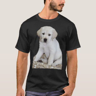 Camiseta Bonito para sentarse en el laboratorio amarillo