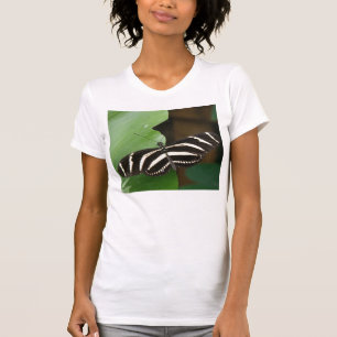 Camiseta Bonito Zebra Longwing Butterfly T Shirt
