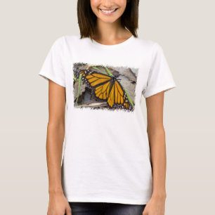 Camiseta Borde blanco de mariposa monarca