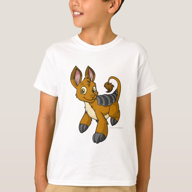 Camiseta Bori Brown (Anverso)