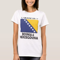 Bosnia y Herzegovina hizo