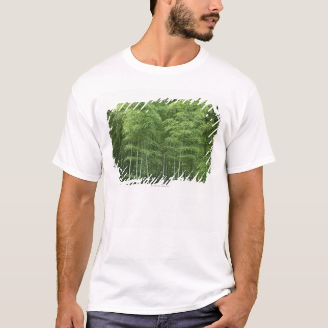 Camiseta Bosque de bambú (Anverso)