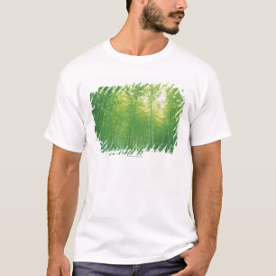 Camiseta Bosque de bambú 2