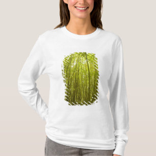 Camiseta Bosque de Bambú cerca de Waikamoi Ridge Trail, Nor
