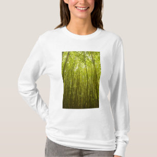 Camiseta Bosque de bambú cerca de Waikamoi Ridge Trail, Nor