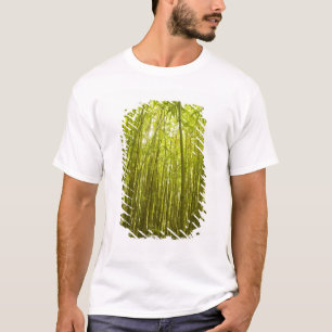 Camiseta Bosque de bambú cerca del sendero Waikamoi Ridge,