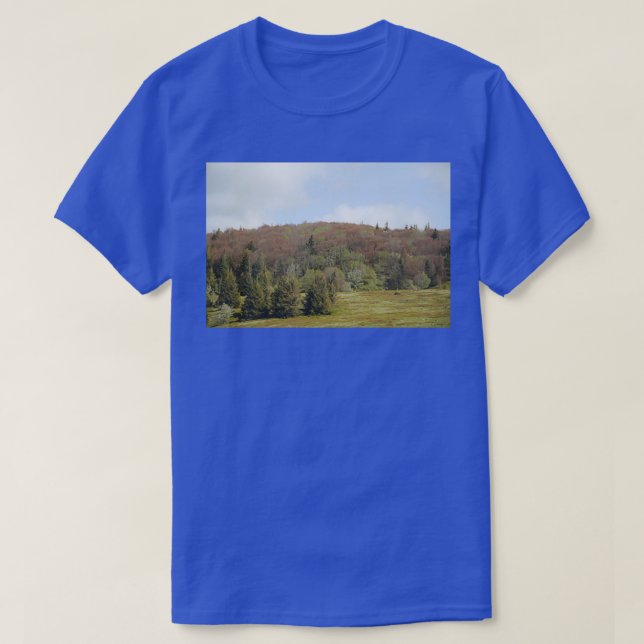 Camiseta Bosque de hayas de vómitos quemado por la congelac (Diseño del anverso)