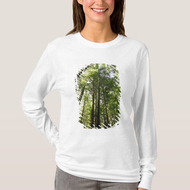 Camiseta Bosque de Secuoyas, Rotorua, Nueva Zelanda (Anverso)