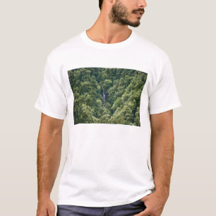 Camiseta Bosque del Himalaya en el valle de Mangdue, Bután