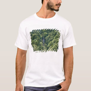 Camiseta Bosque del Himalaya en el valle de Mangdue, Bután