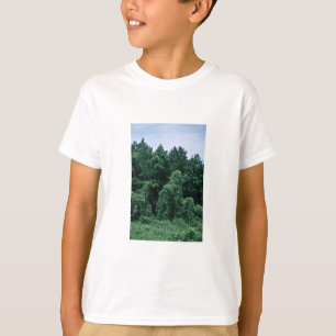 Camiseta Bosque demasiado grande para su edad Kudzu/