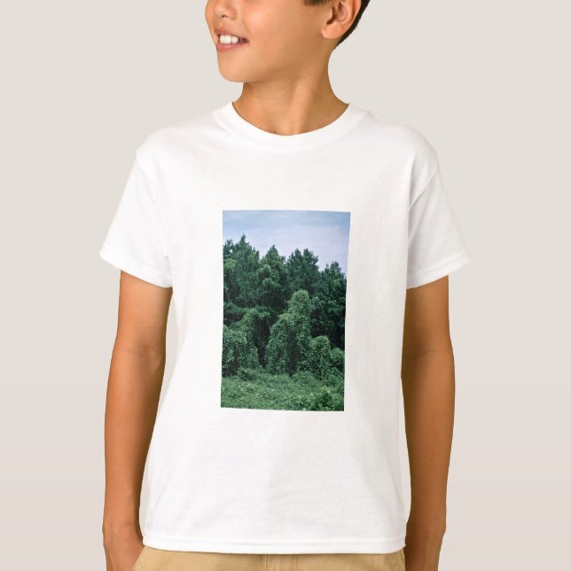 Camiseta Bosque demasiado grande para su edad Kudzu/ (Anverso)