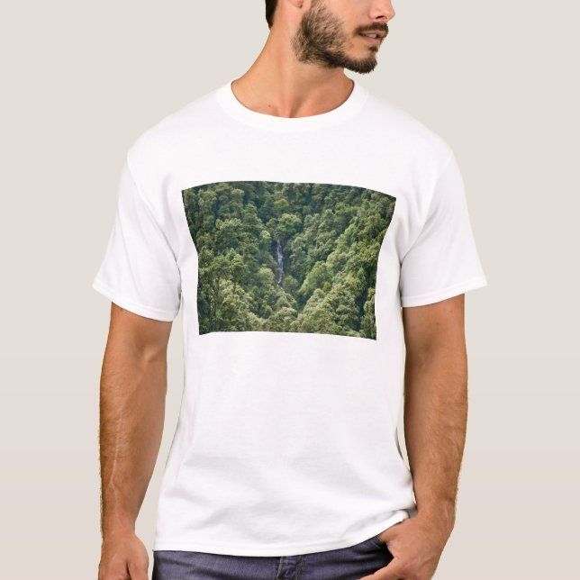 Camiseta Bosque Himalaya en el valle del Mangdue, Bután (Anverso)
