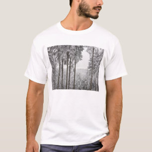Camiseta Bosque imperecedero en invierno
