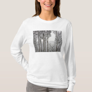 Camiseta Bosque imperecedero en invierno