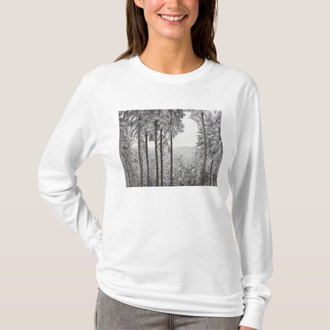 Camiseta Bosque imperecedero en invierno (Anverso)