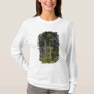 Camiseta Bosque lluvioso al borde del río Rewa Guyana