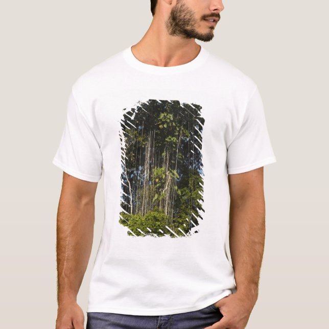 Camiseta Bosque lluvioso al borde del río Rewa Guyana (Anverso)