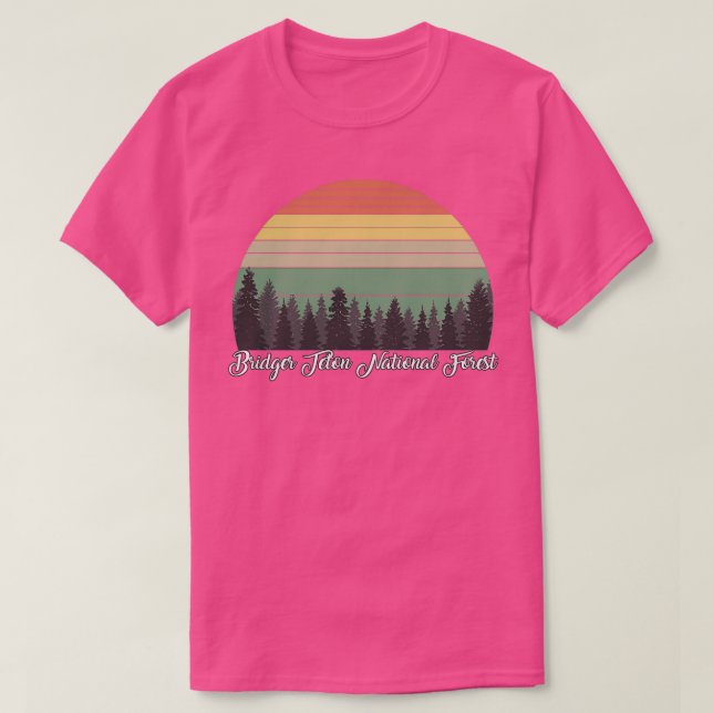 Camiseta Bosque nacional Bridger Teton 1 (Diseño del anverso)