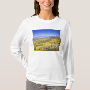 Camiseta Bosque Nacional Routt en color Otoño, cerca