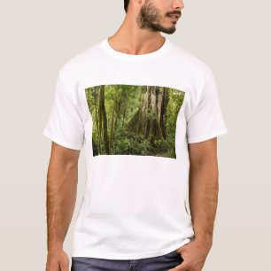 Camiseta Bosque nuboso, Bosque de Paz, Costa Rica