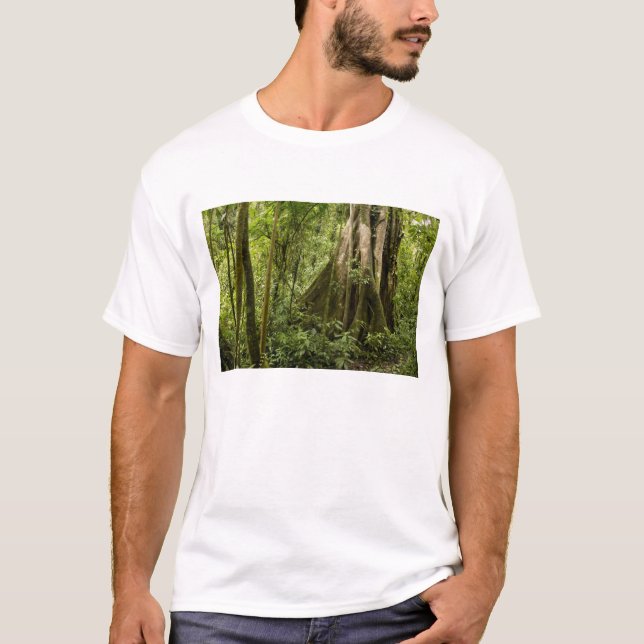 Camiseta Bosque nuboso, Bosque de Paz, Costa Rica (Anverso)