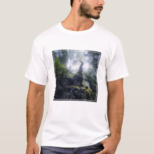 Camiseta Bosques   Parque rural de Anaga Islas Canarias