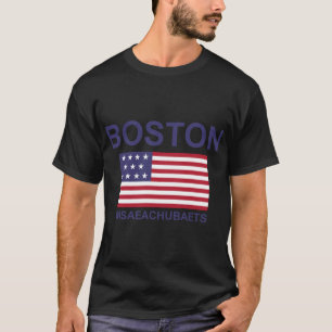 CAMISETA BOSTON MSAEACHUBAETS