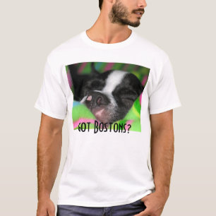 Camiseta ¿Bostons conseguido?