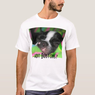 Camiseta ¿Bostons conseguido?
