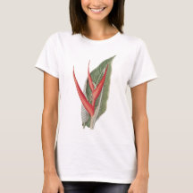 Camiseta botánica vintage de Heliconia 1800