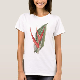 Camiseta botánica vintage de Heliconia 1800